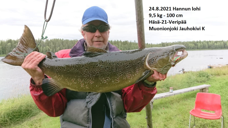 Hannu 9,5kg